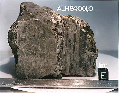 photo of the famous meteorite ALH84001